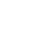Webdisplay logo